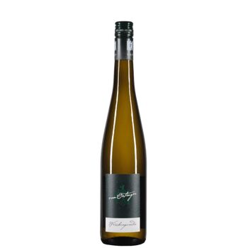 Grauburgunder 2019