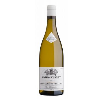 Chassagne Montrachet 2020