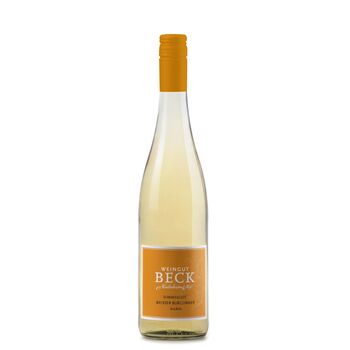 Weißer Burgunder 2023 - Sommerwein BIO