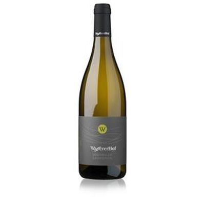 Südtiroler Sauvignon 2022 - 0,75l - Wassererhof