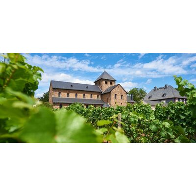 Hafenblick Riesling 2023