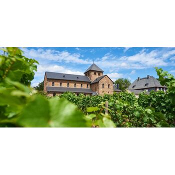 Hafenblick Riesling 2023